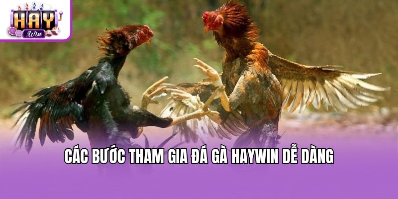 Các bước tham gia đá gà Haywin dễ dàng