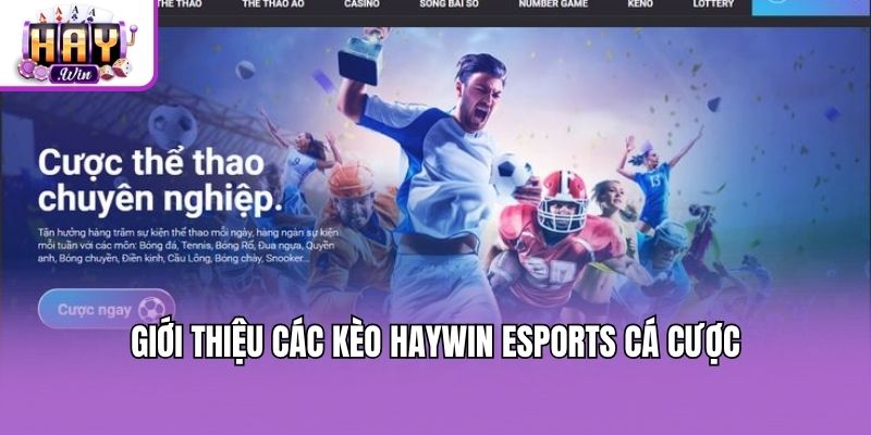 Giới thiệu các kèo Haywin esports cá cược