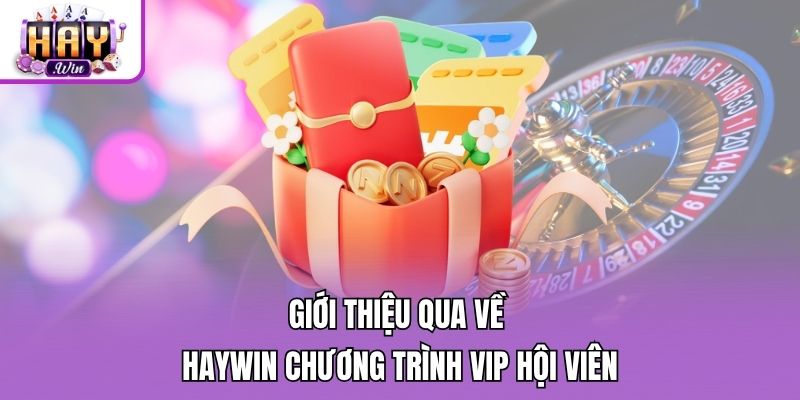 Giới thiệu qua về Haywin chương trình VIP hội viên