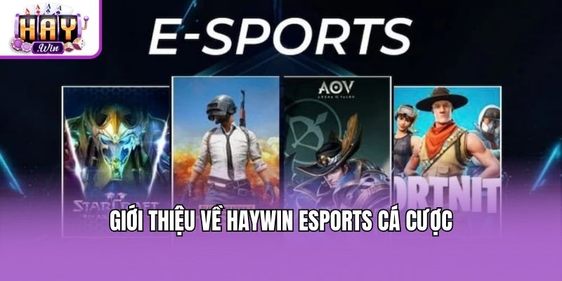 Giới thiệu về Haywin esports cá cược