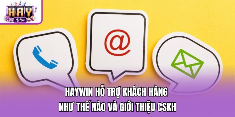 Haywin hỗ trợ khách hàng như thế nào và giới thiệu CSKH