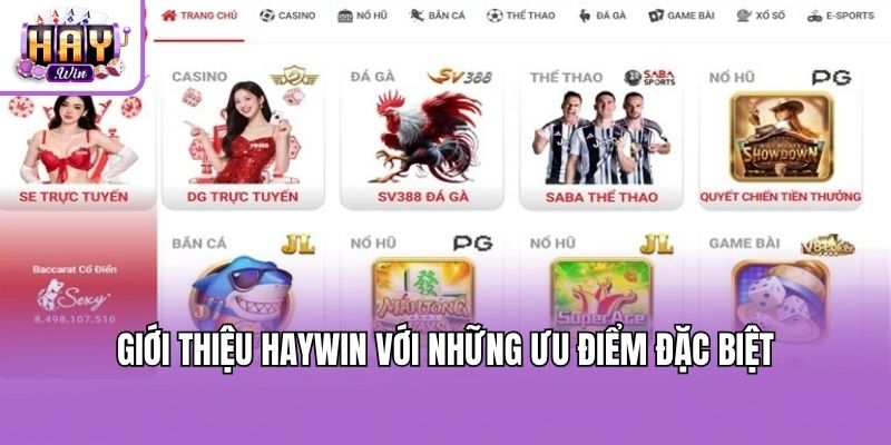 Giới thiệu Haywin với những ưu điểm đặc biệt