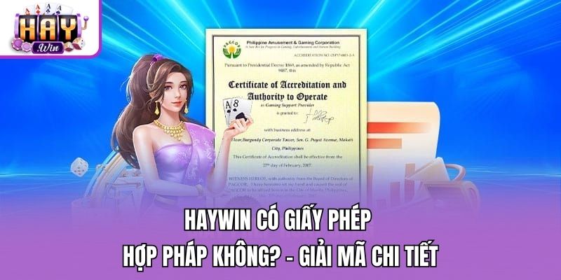 Haywin Có Giấy Phép Hợp Pháp Không? - Giải Mã Chi Tiết