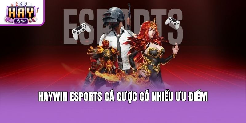 Haywin esports cá cược có nhiều ưu điểm